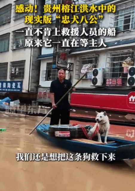 太感动了！贵州，发生洪水，救援人员发现了一只小狗，被绳子拴住，浑身湿透，他们想把