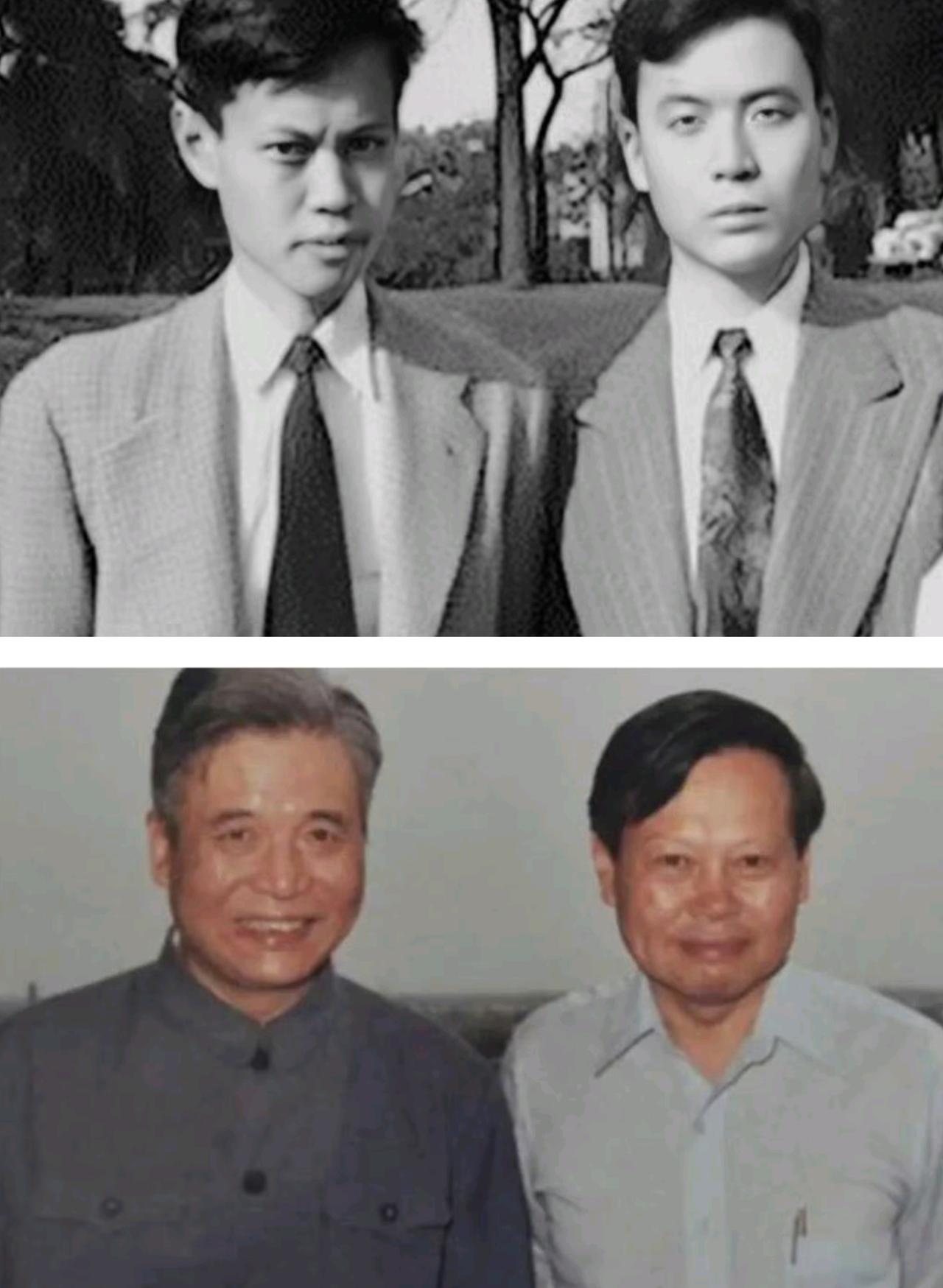 中国科学界有两位顶流,杨振宁和邓稼先,都凭真本事改写了历史。杨振宁是理论物