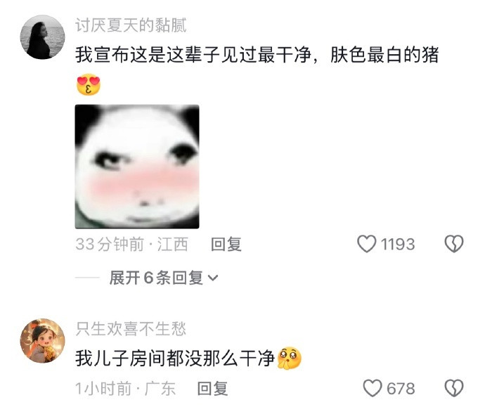 看吧！认真过日子的人就是做啥都精致