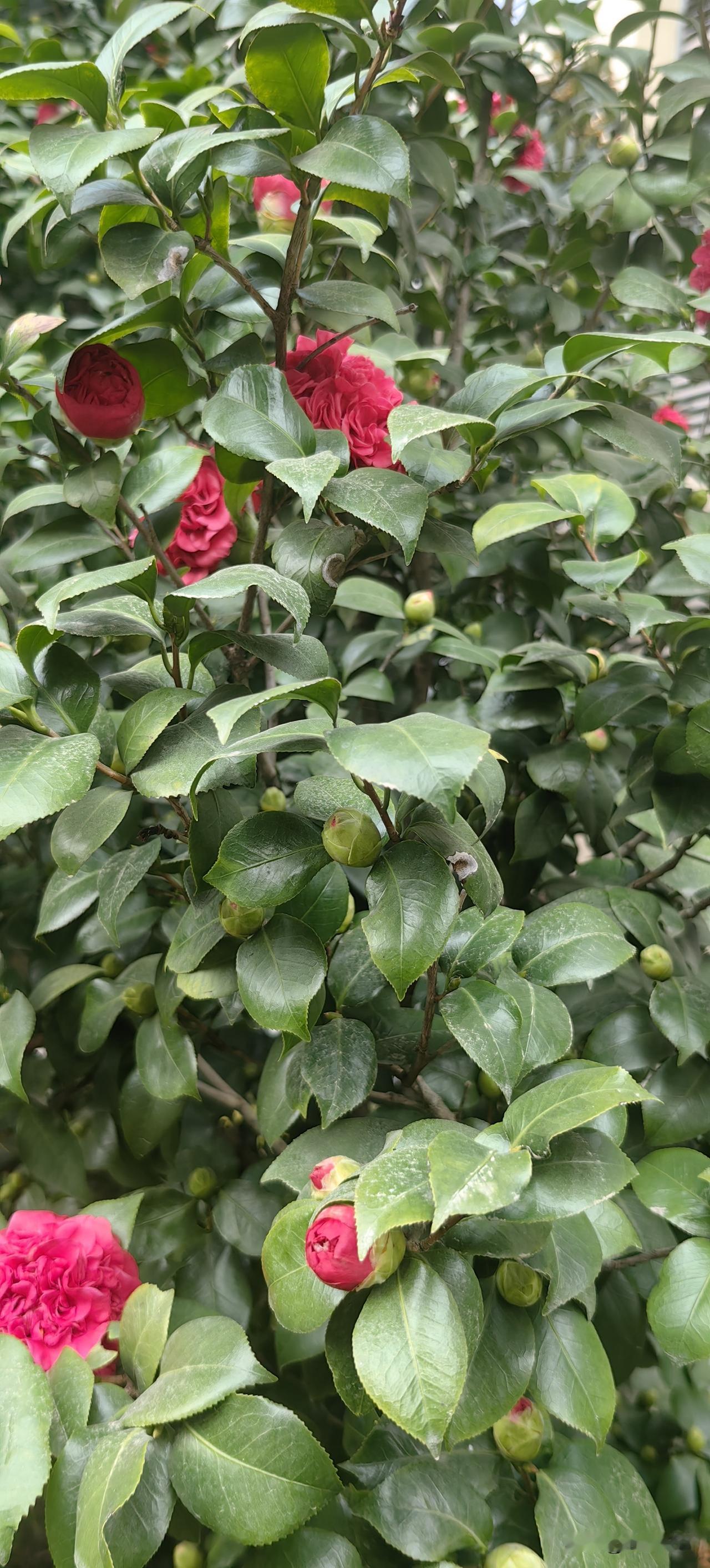 有人说，四川真正享誉世界的旅游品牌叫“三九大”，这叫什么意思呀！