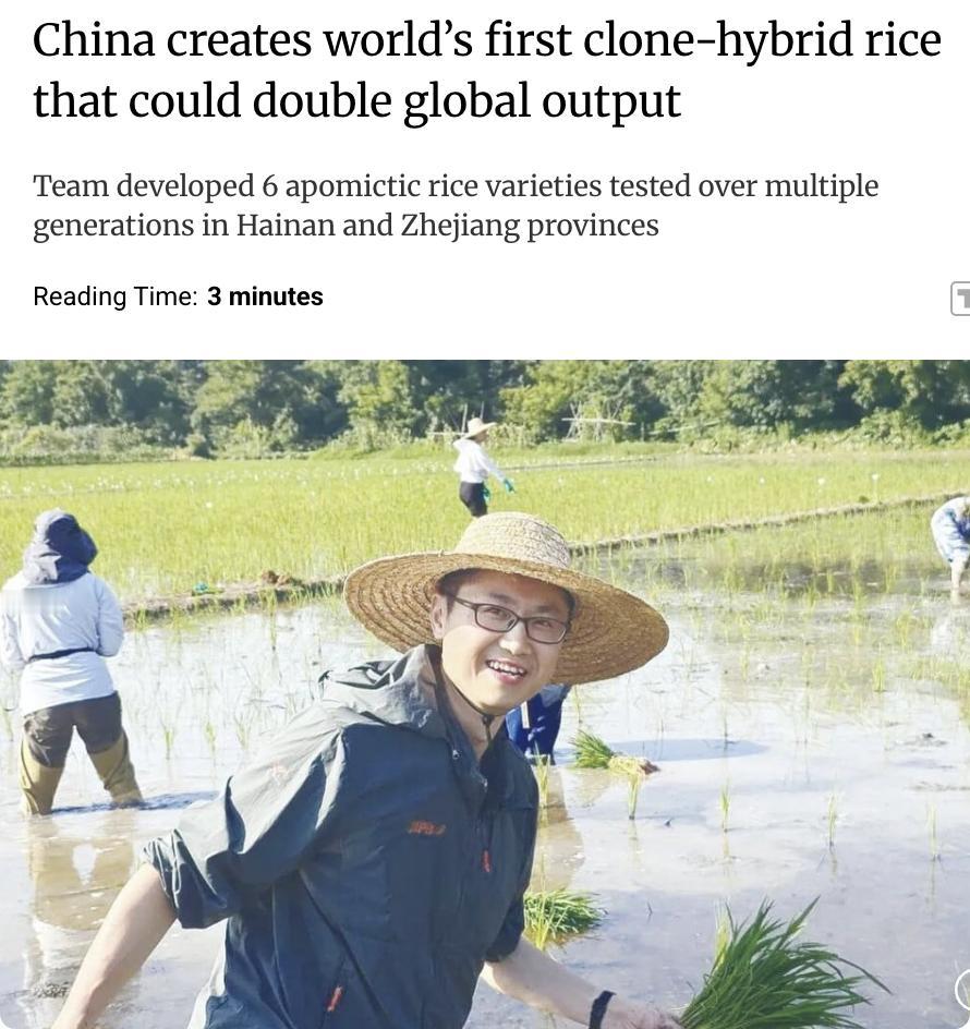 外媒：中国科研团队开发出全球首个克隆杂交水稻，有望使全球水稻产量翻倍。该团队