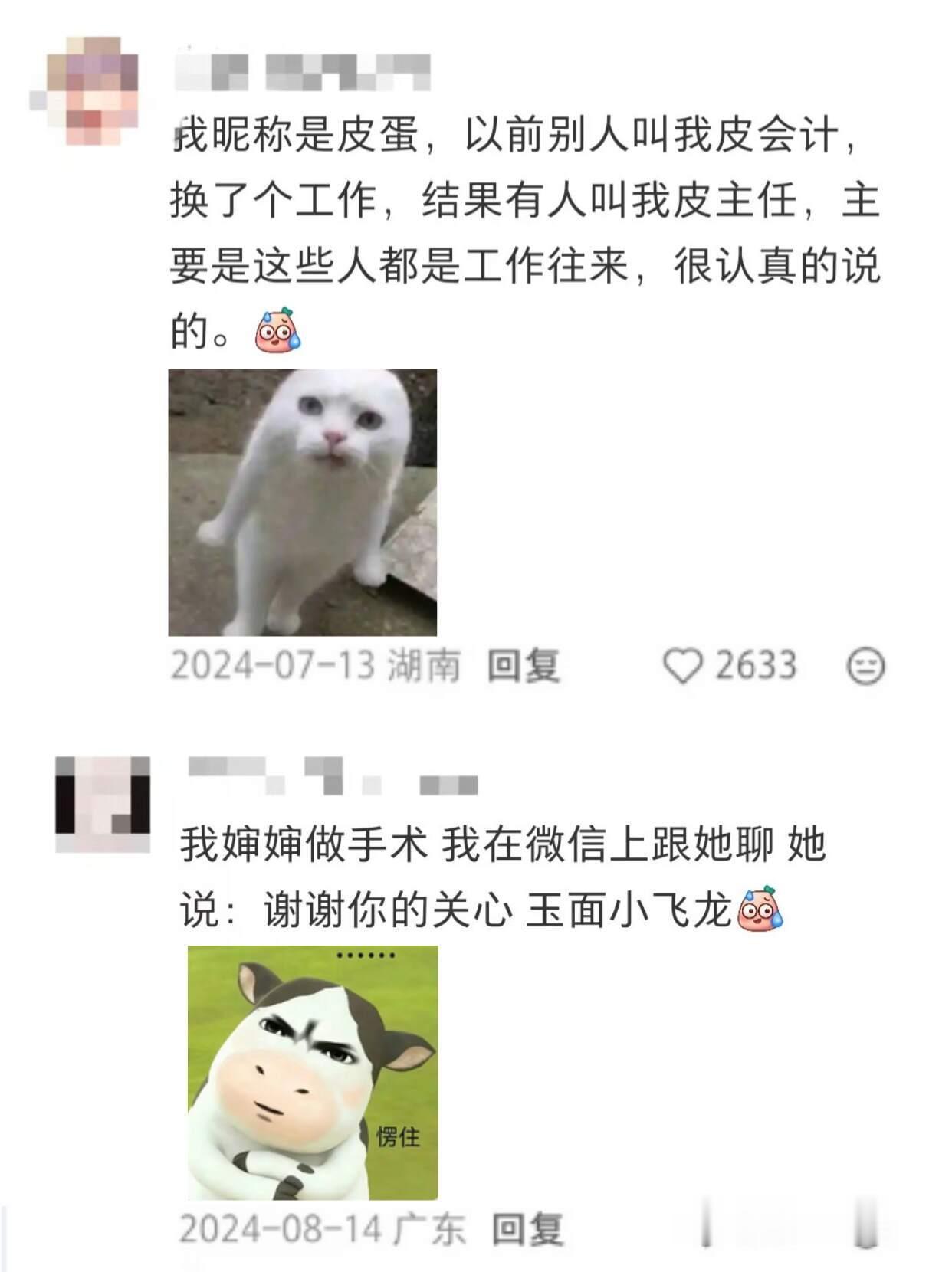 跟你们上班没被喊过网名的人说不清...