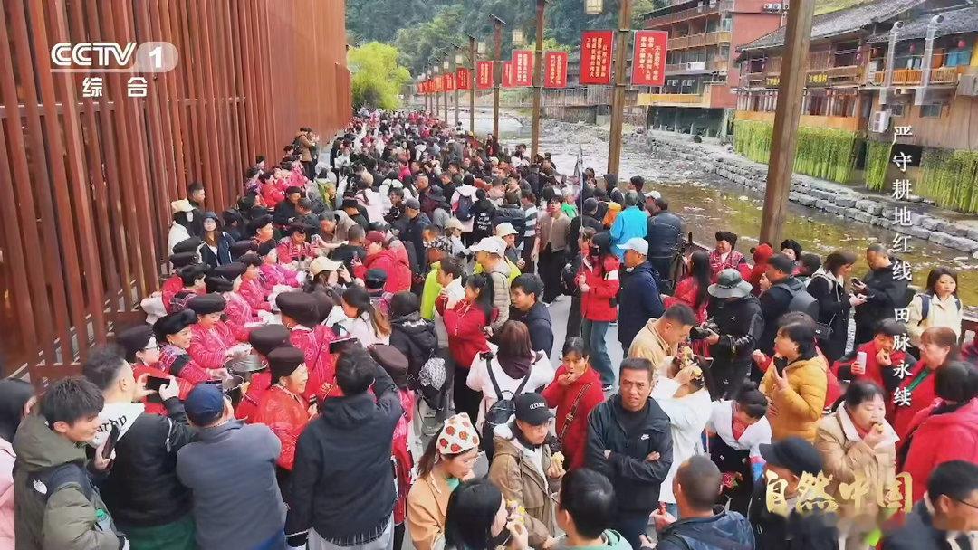 中国梯田美成油画层叠田垄顺着山峦蜿蜒，天光云影落进田间，一眼望去，整座山野都化