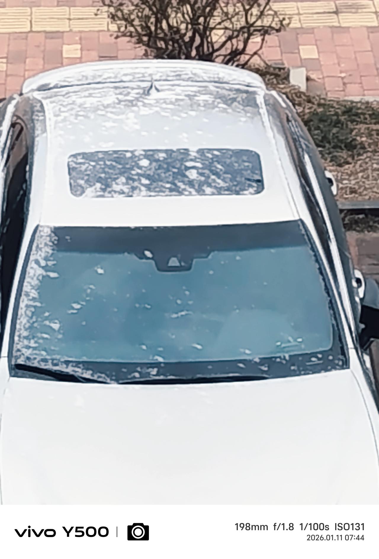 似雪又像霜白沙砖缝藏早晨起床拉开窗帘，发现小区院里的地砖缝有白色