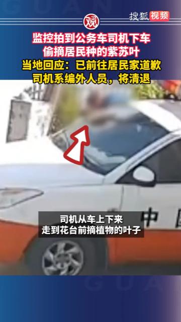 万万没想到，就因为偷偷采了几片叶子，导致工作没了。广东惠州，一名驾驶公务车辆的司