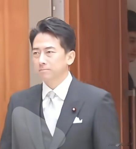 小泉进次郎回应涉台争议反对具体披露应对情境针对日本首相高市早苗将台海局势