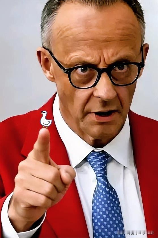 出头鸟来了！德国总理今天明确宣布：1月29日，德国总理默茨在联邦议院发表外交