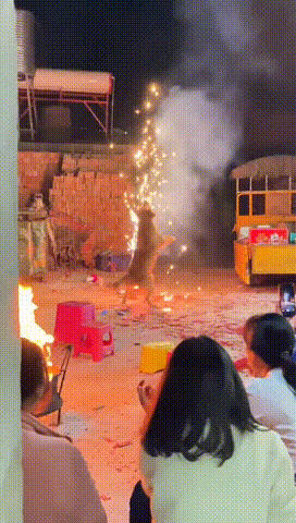 烟花10块，狗玩了9块9！