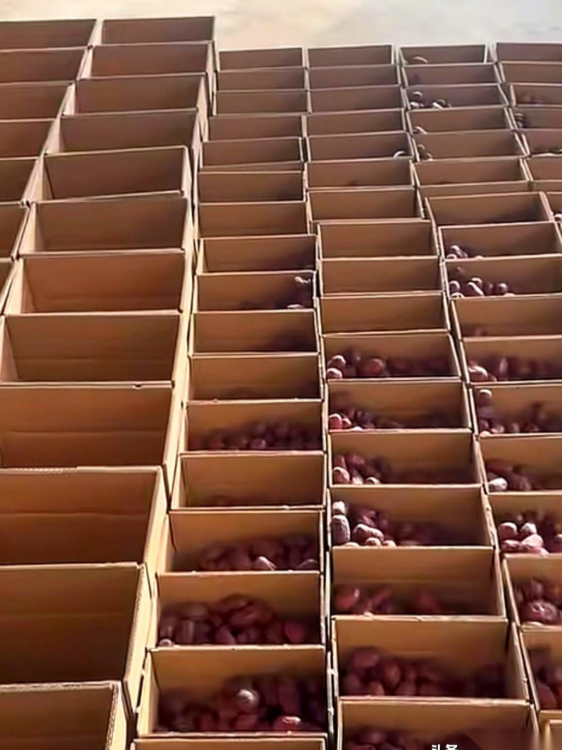 连续爆单第三天了。说出来都觉得有点凡尔赛。但你们知道真相是啥吗？真相就是，