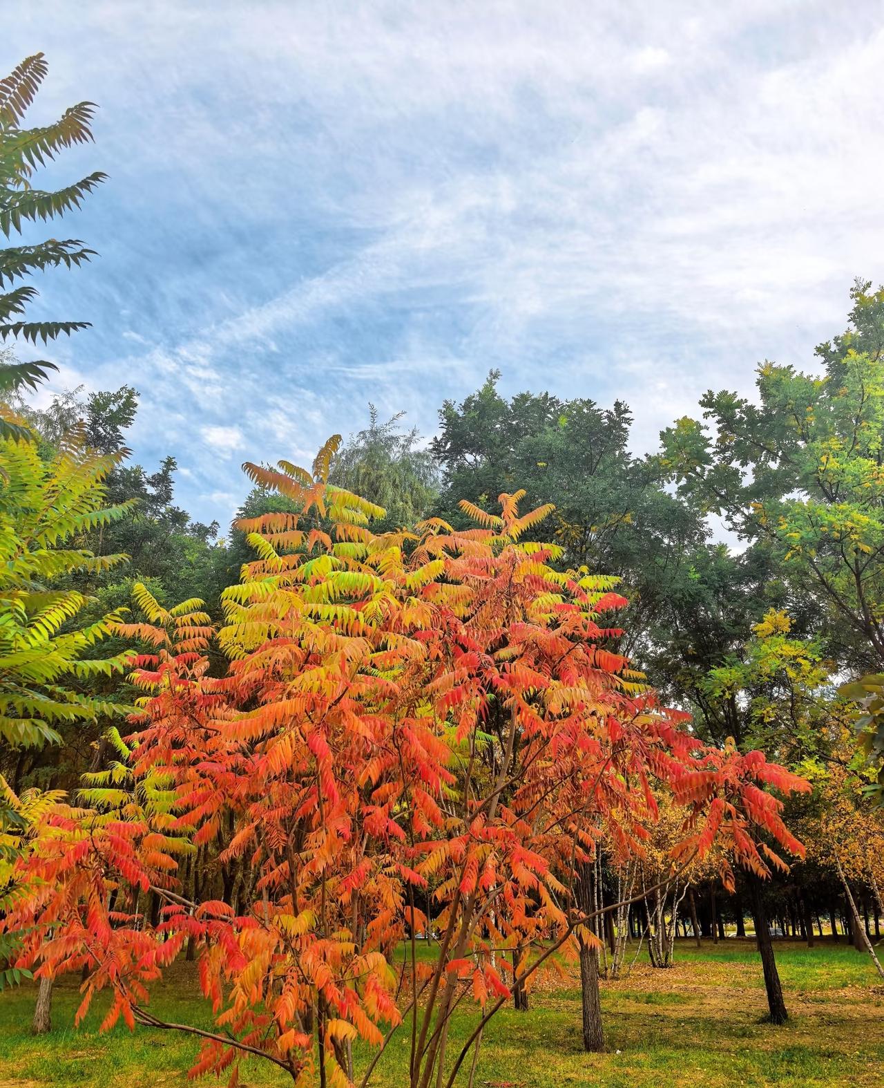 2026年1月1日起，幼儿园收费迎来重磅新规，那些以幼小衔接班、兴趣班为名的额外