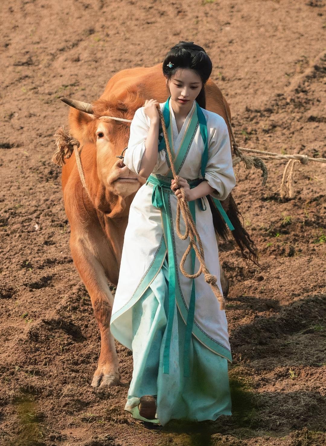 田曦薇[比心]耕田，耕🉐好认真[加油][思考]《嫁金钗》的“体验”确实