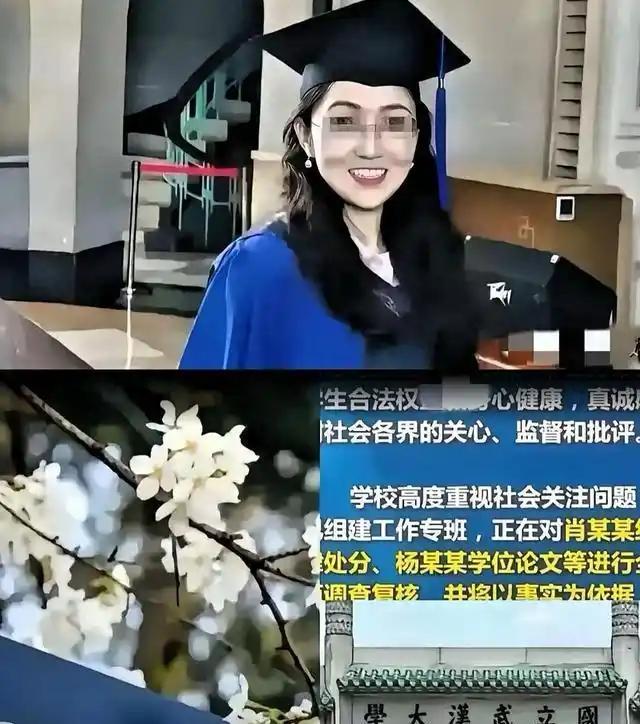 2025年二审败诉，2026年却被网友发现疑似去了西班牙继续深造。杨景媛这次重新