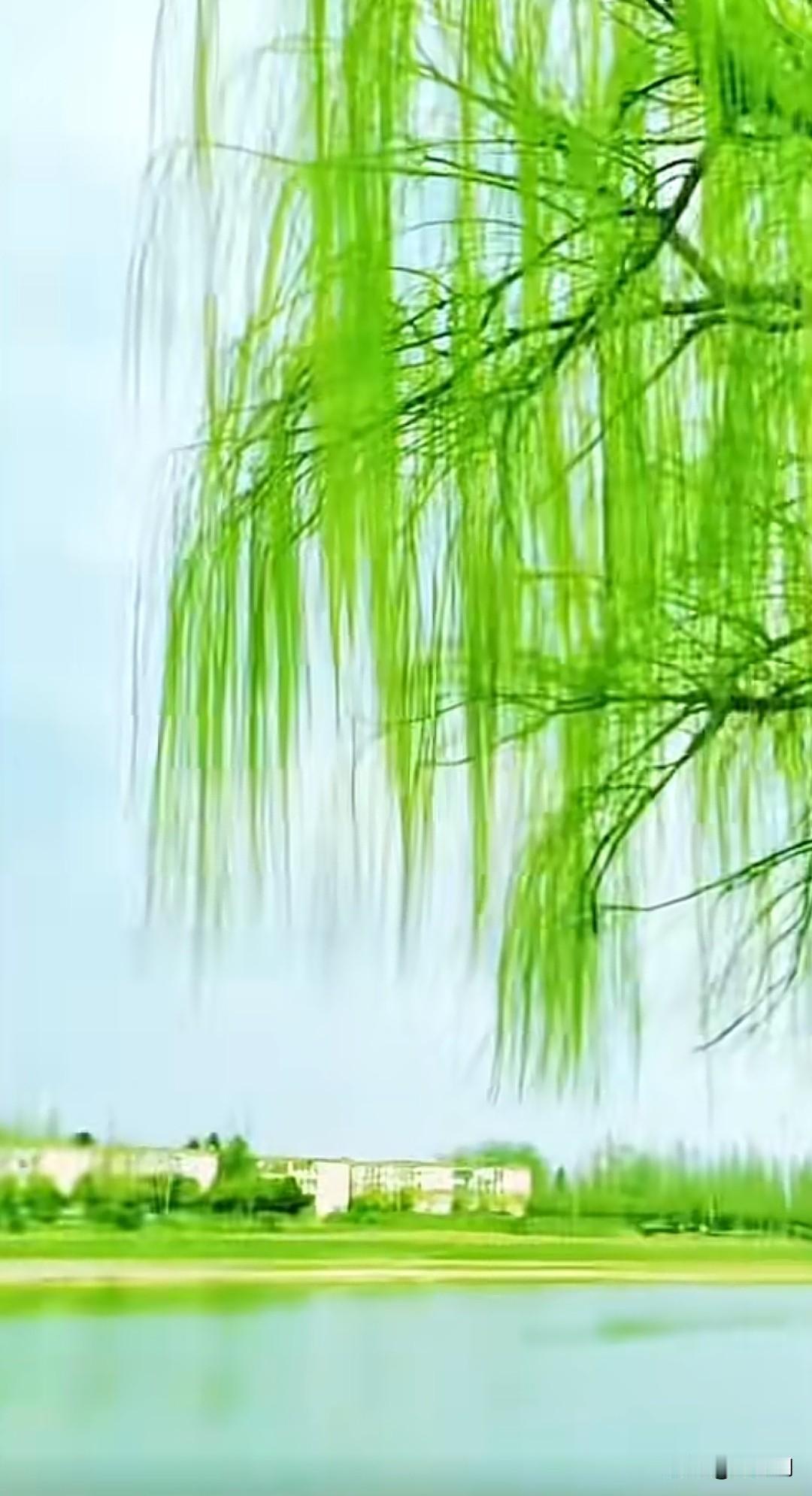七律·抬头含泪问青天世路飘蓬倍可怜，半生磋跌志难全。旧交零落晨星少，家业