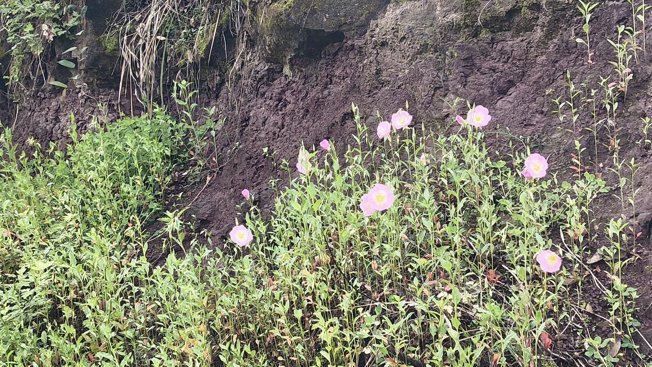 张雪机车的逆袭对中国制造业有何意义张雪机车再国际赛场接连夺冠，对中国制造业具有里