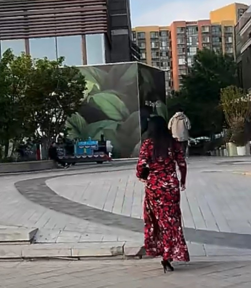 离婚2年半的李湘和王岳伦引发网友热议，原因是网上曝光了一段视频，俩人一前一后出