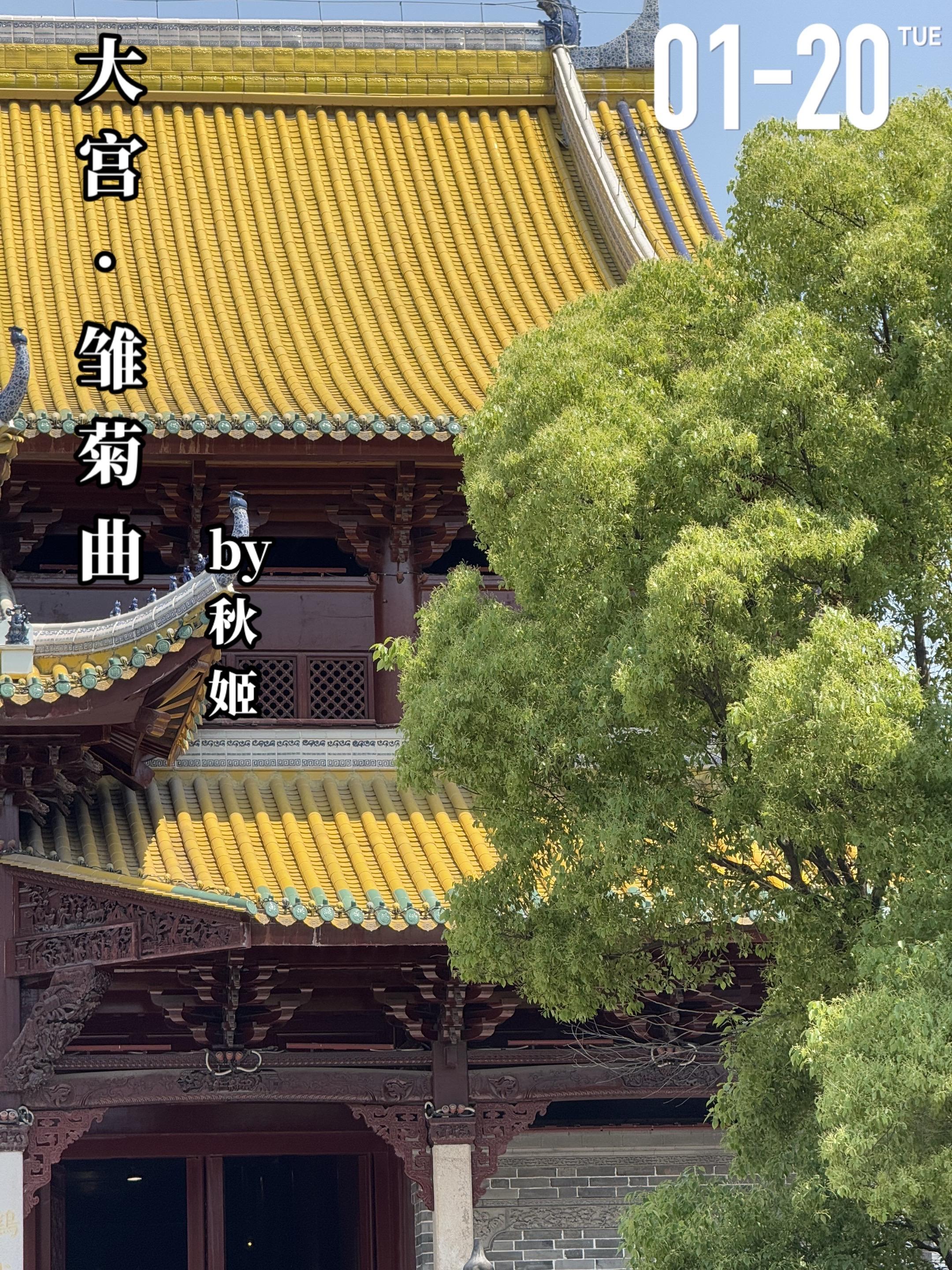 《大宫·雏菊曲》by秋姬。奴兮（女主）是父母双亡的孤女，被曾经爱慕她母...