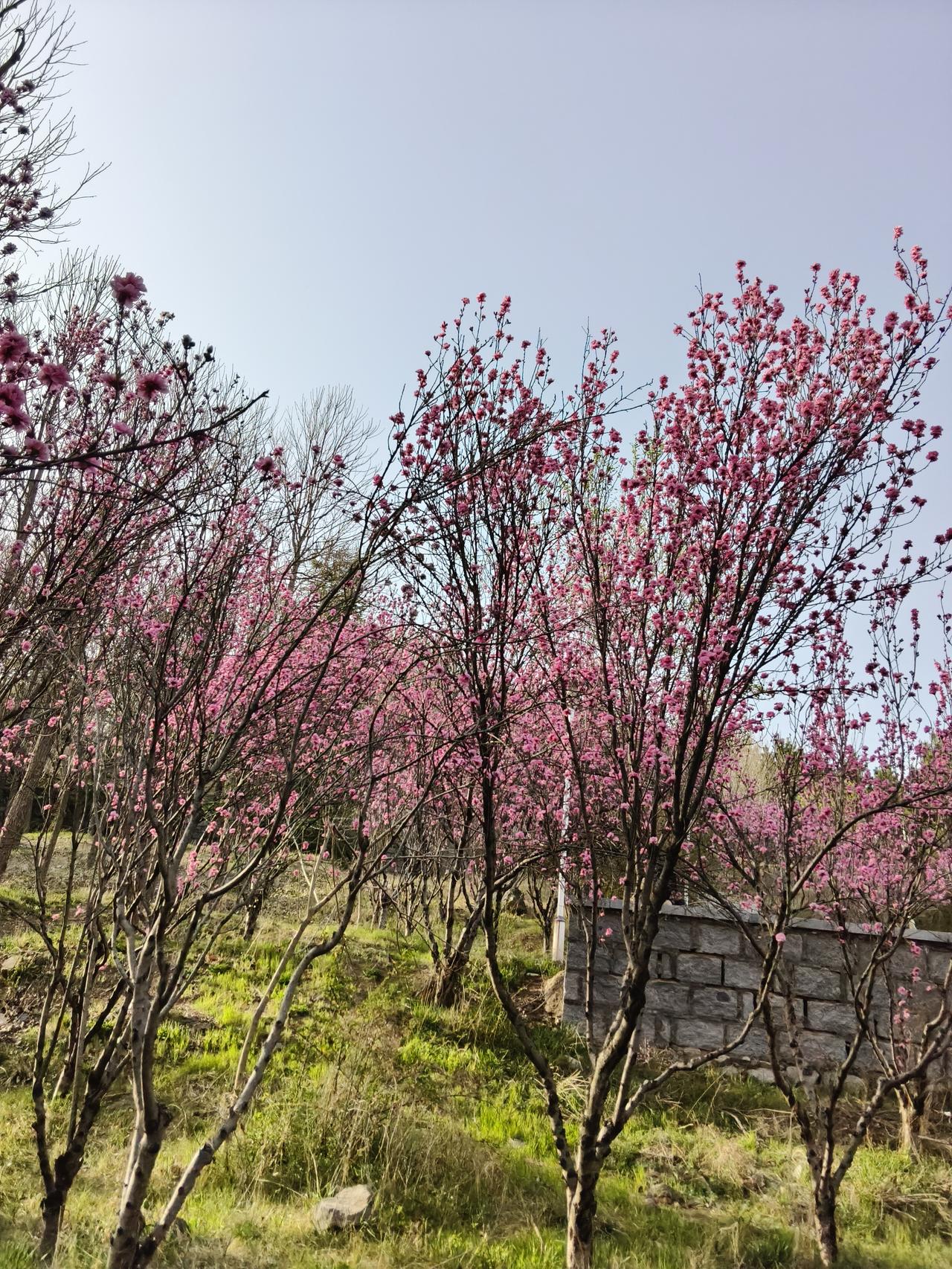 江洋大盗冒充知府案康熙三年郭世纯被任命为池州知府，他兴致勃勃，领着家人和家