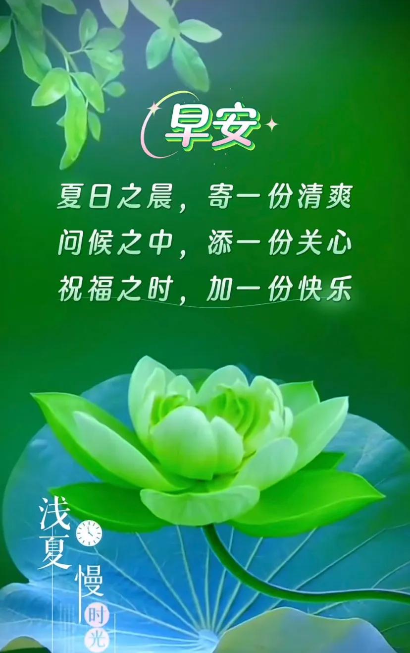 花好早安吉祥，顺心如意顺意。