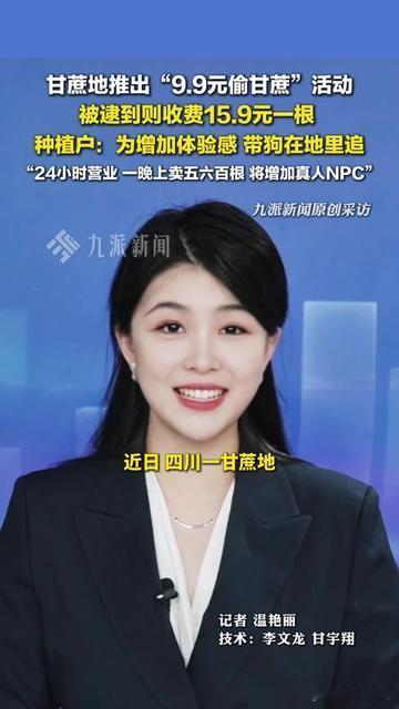 谁小时候没干过偷掰甘蔗撒腿跑的事？现在居然要花9块9请人带狗追着偷！四川