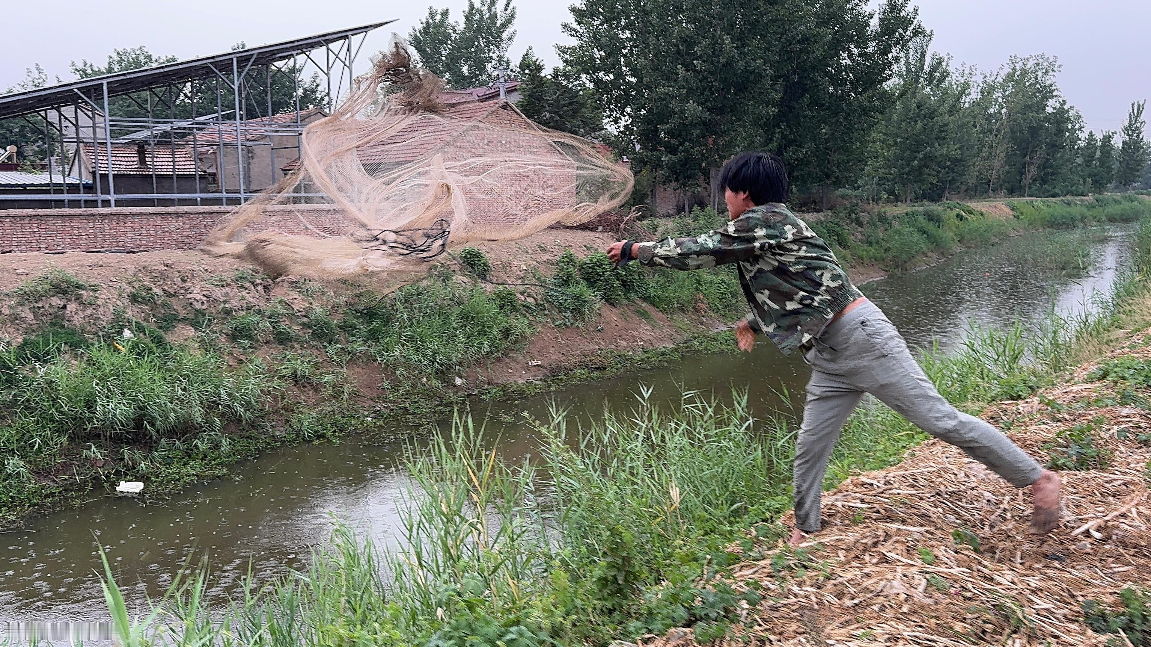 雨天撒网，龙虾鱼都有，就是图4的这个贝壳，放在桥上没有人要​​​