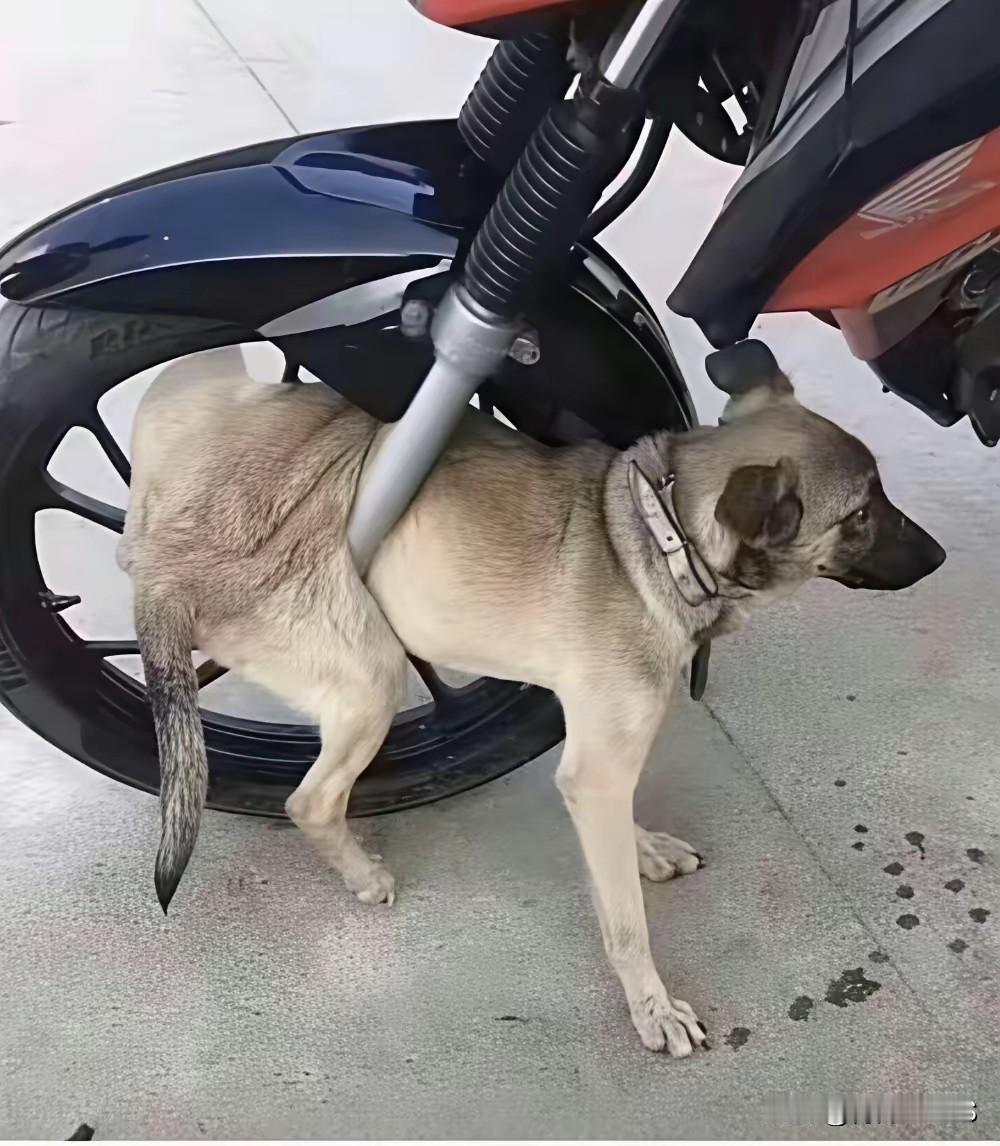 怎么拿出来？急