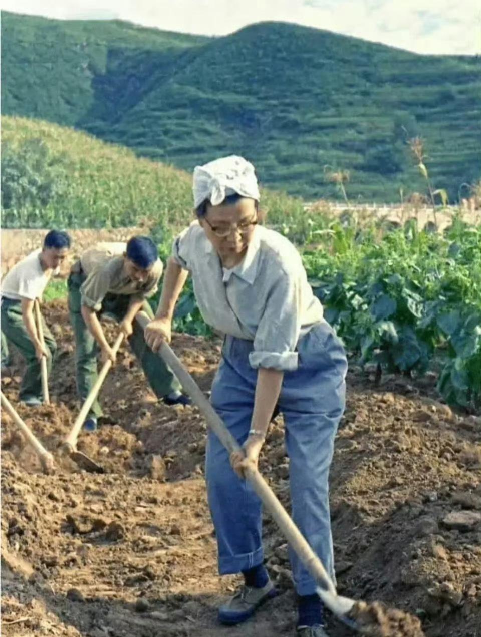 1975年，江青在大寨村参加劳动。1975年9月全国农业学大寨会议在大寨召开，提