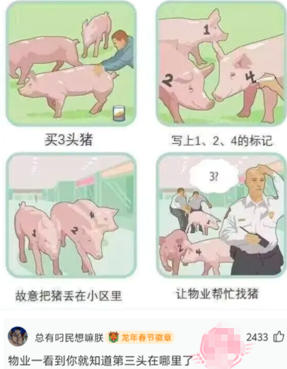 让物业帮忙找猪