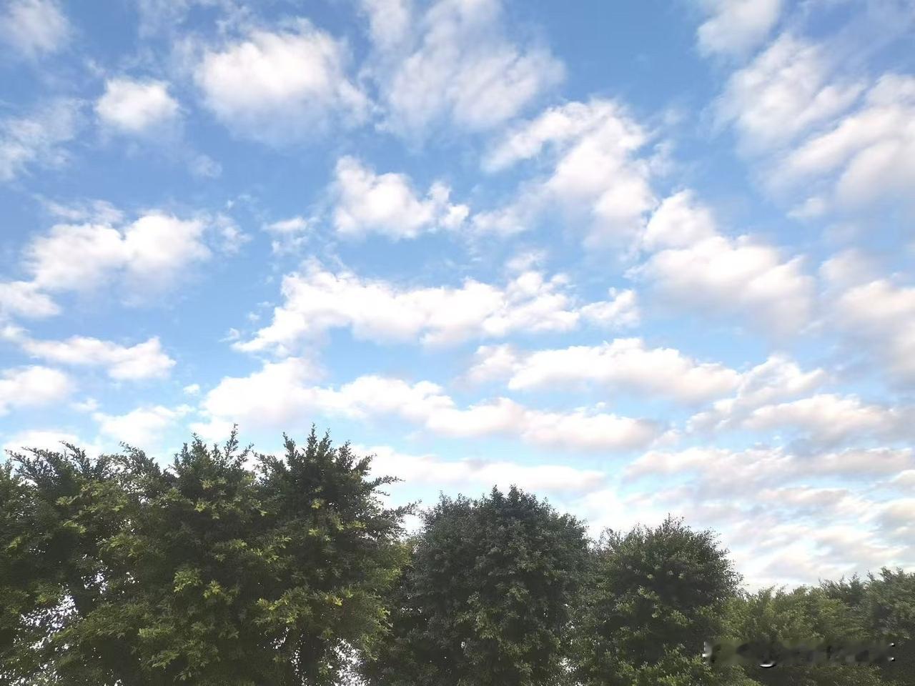 上周去超市囤货，推着购物车猛冲零食区时，看见前面大哥手里攥着最后一包我爱吃的薯片