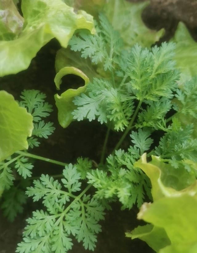 315全程避雷！我如何靠理性消费规避所有消费陷阱