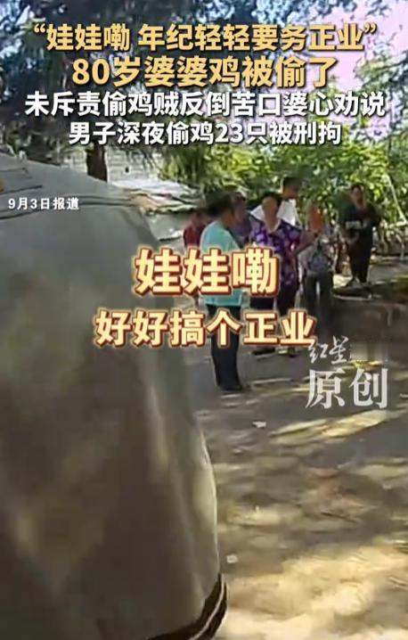 真是又好气又好笑！四川某地，80岁婆婆的鸡被偷了23只，可她没指着鼻子骂街，反而