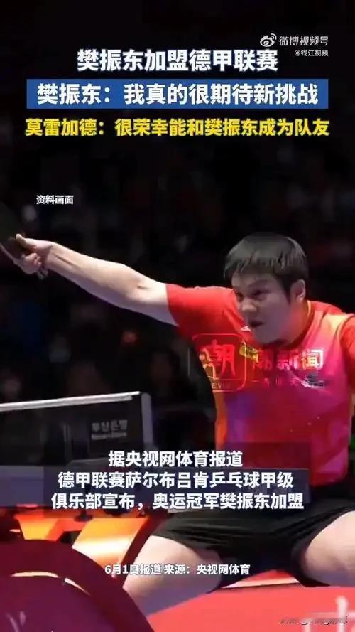 樊振东加盟德国乒乓球俱乐部之后，才知道的几件事情：1、乒乓球起源于欧洲，19