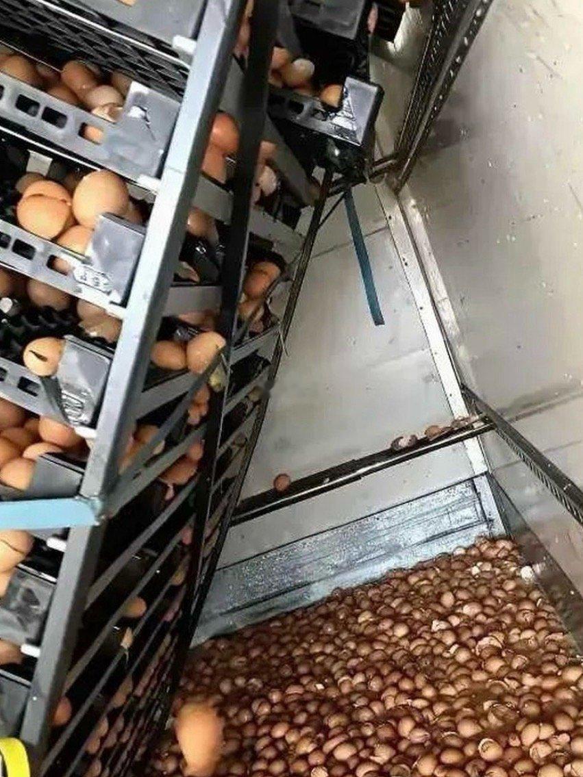 求助大家这种情况怎么办