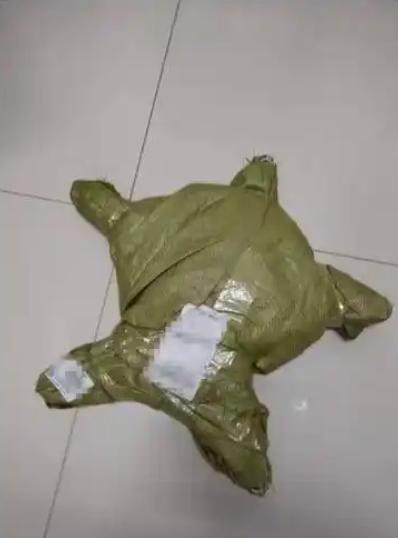 “爸妈笑了半小时才舍得寄过来”，家人邮寄的安心包裹，看到外形，都不好意思收啦！