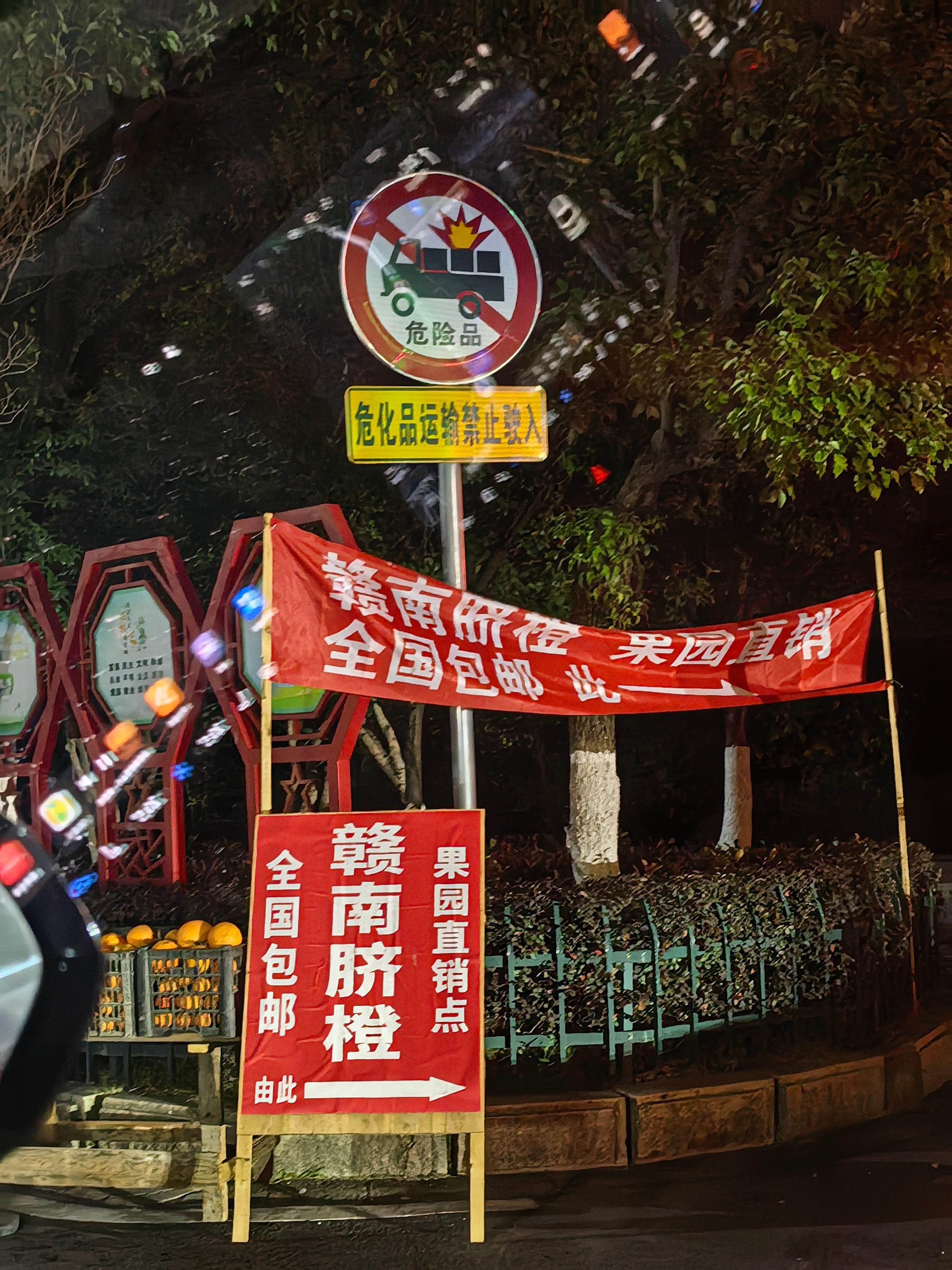 到酒店已经是凌晨3点多了洗漱完我们要去摘橙子啦🍊＾ω＾