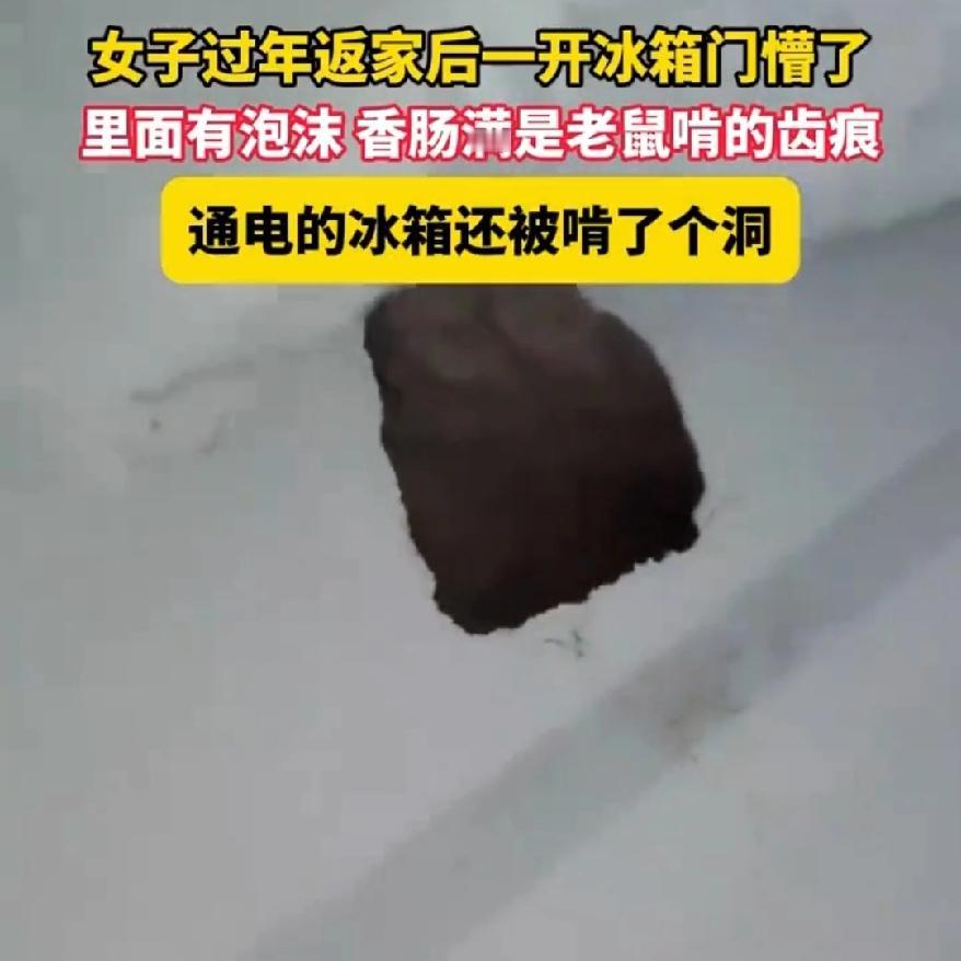 年假刚收心，湖北随州的王女士一回家就被眼前一幕吓懵了。