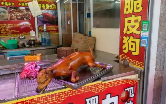 玉林人吃狗肉就吃狗肉吧，非得搞一个玉林什么狗肉节，名字多不好听。把狗肉节改名字算
