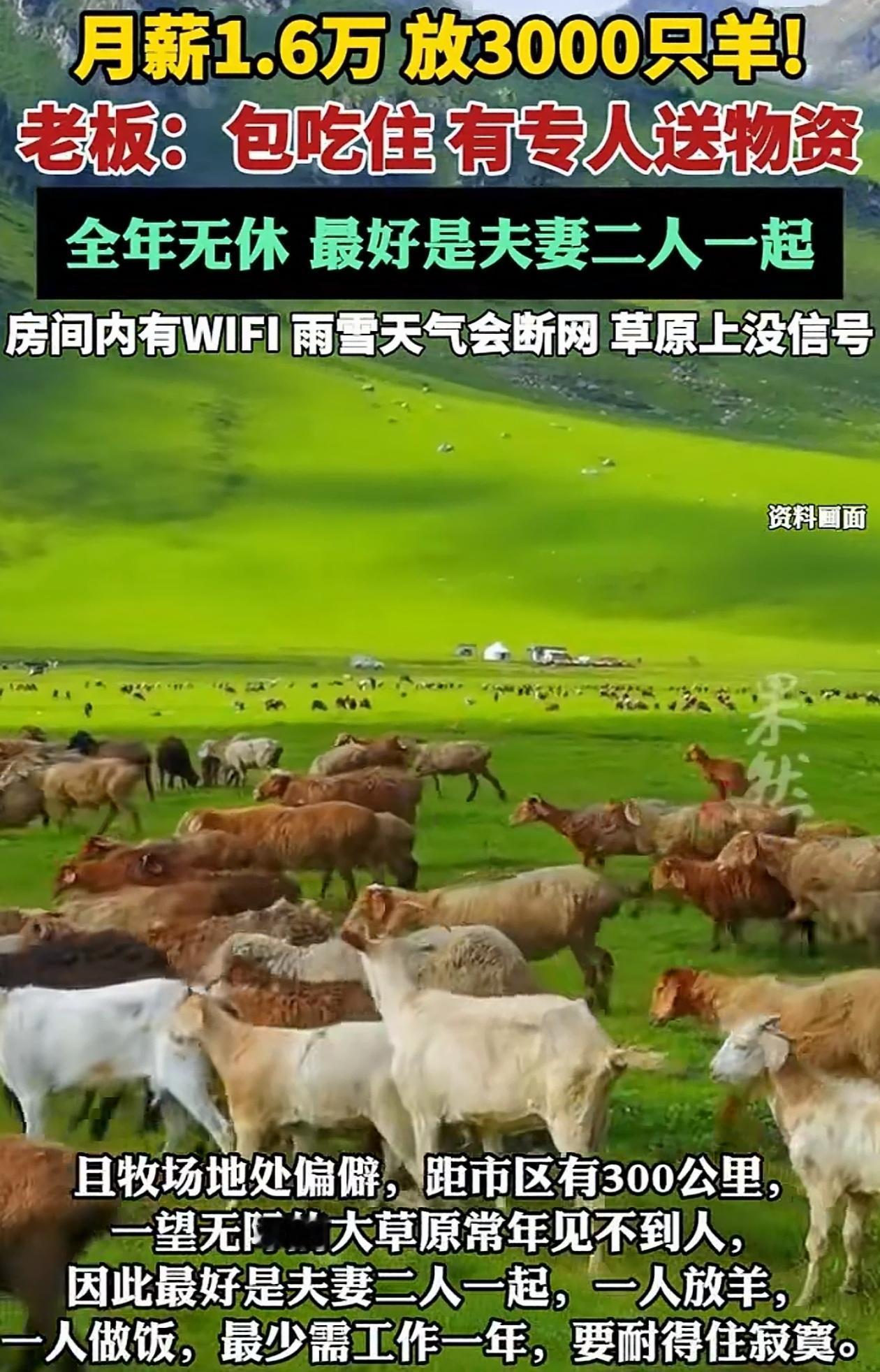 “这个工作火了！”内蒙古锡林浩特一老板开出1万6的月薪，包吃包住都招不到人！工作