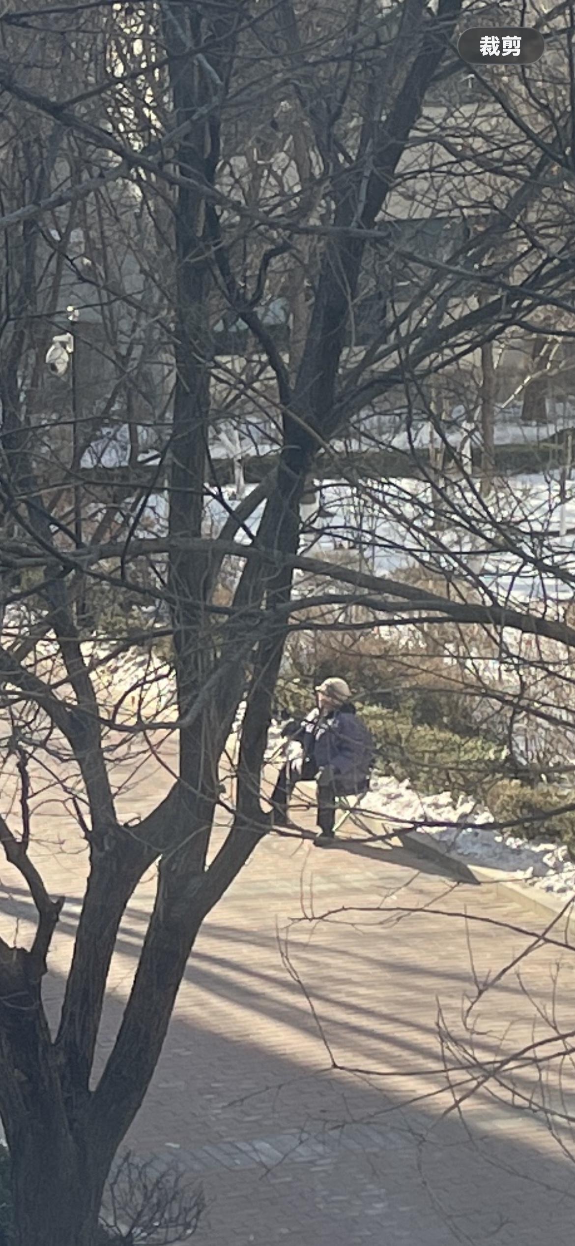 沈阳今天温度零下26摄氏度。现在就有位80多岁的老太太，坐在小区有阳光的地方。这