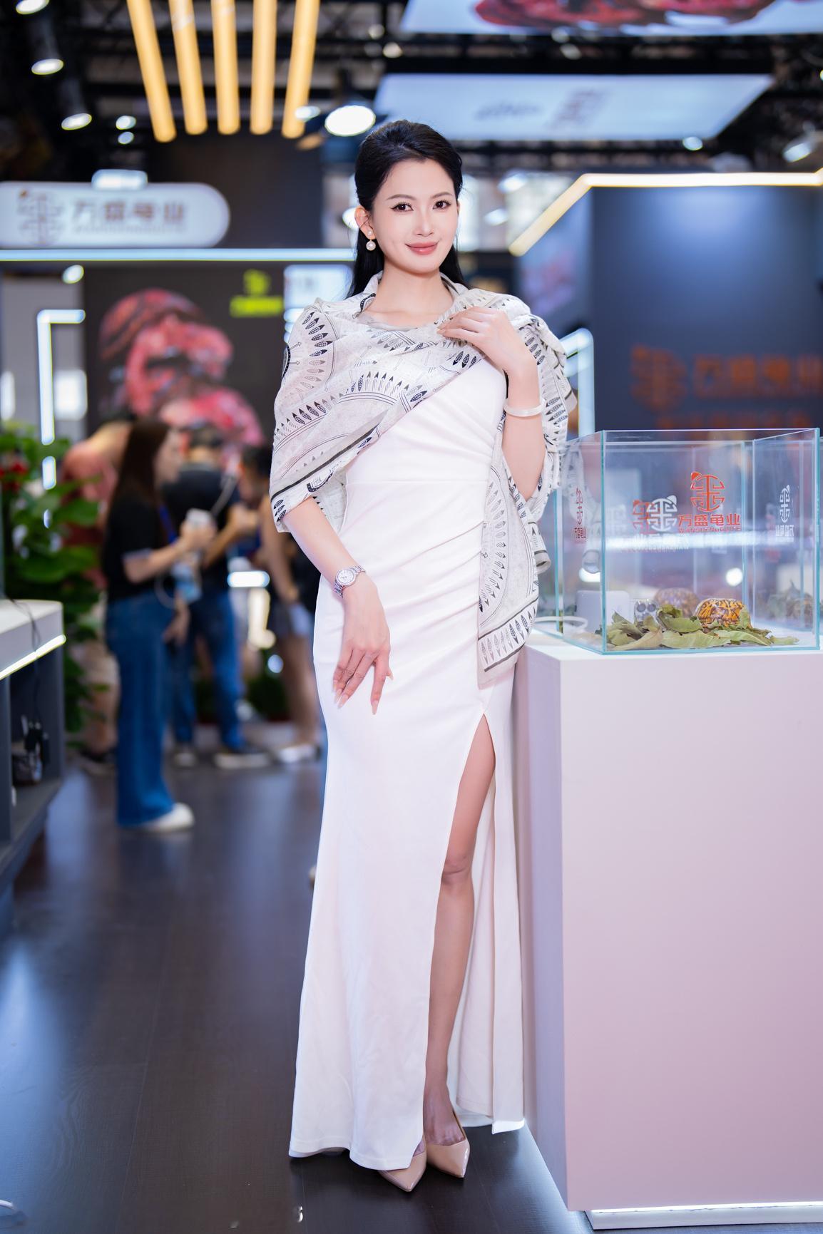 聆听猎人的展会日记聆听拍广州游戏佛山神龟展2026广州游戏佛山神龟展想要收藏