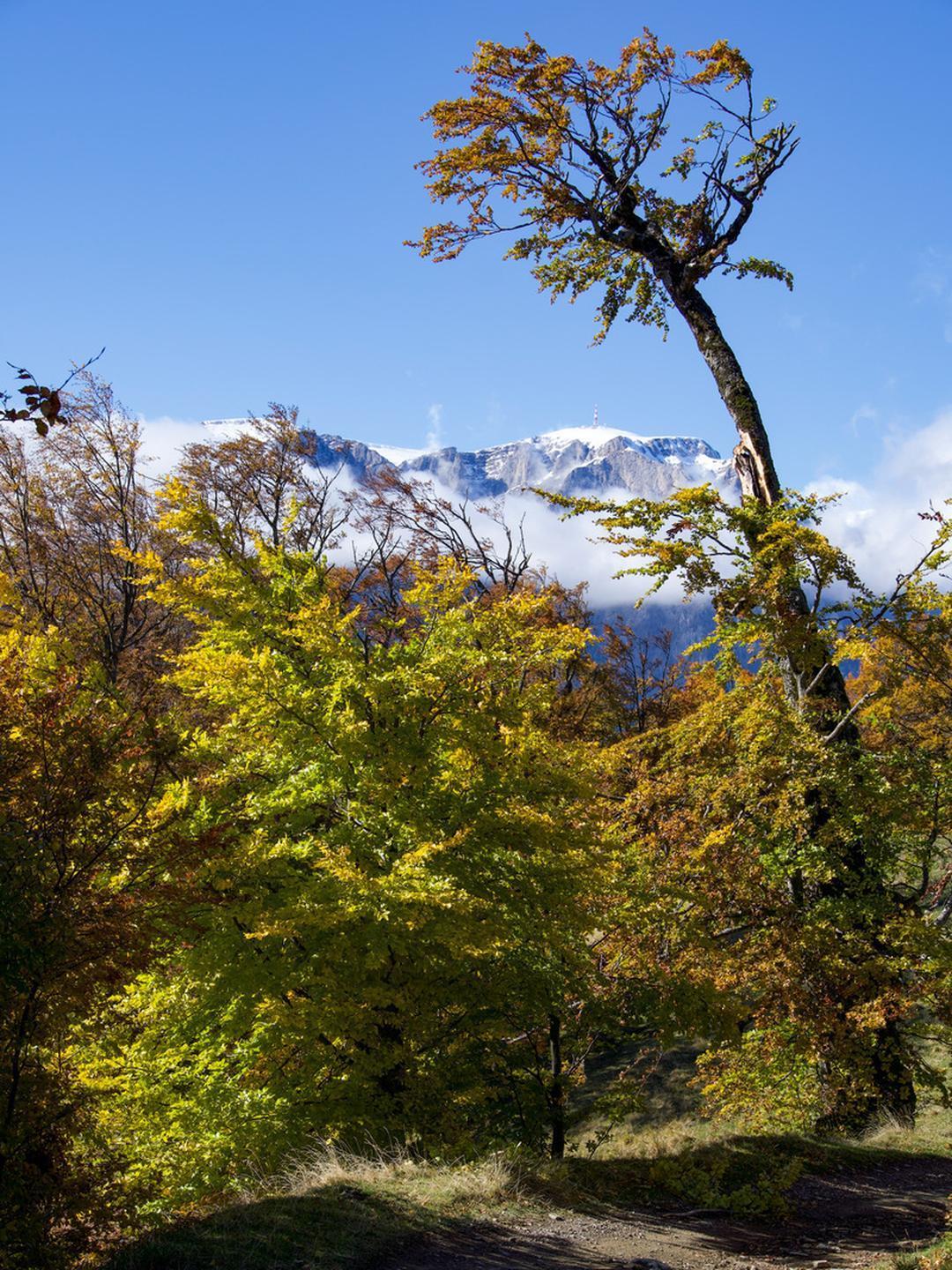 冯唐这段话说得很中肯："所有爱买中肯："所有爱买衣服，喜欢买衣服的女人，她都不会