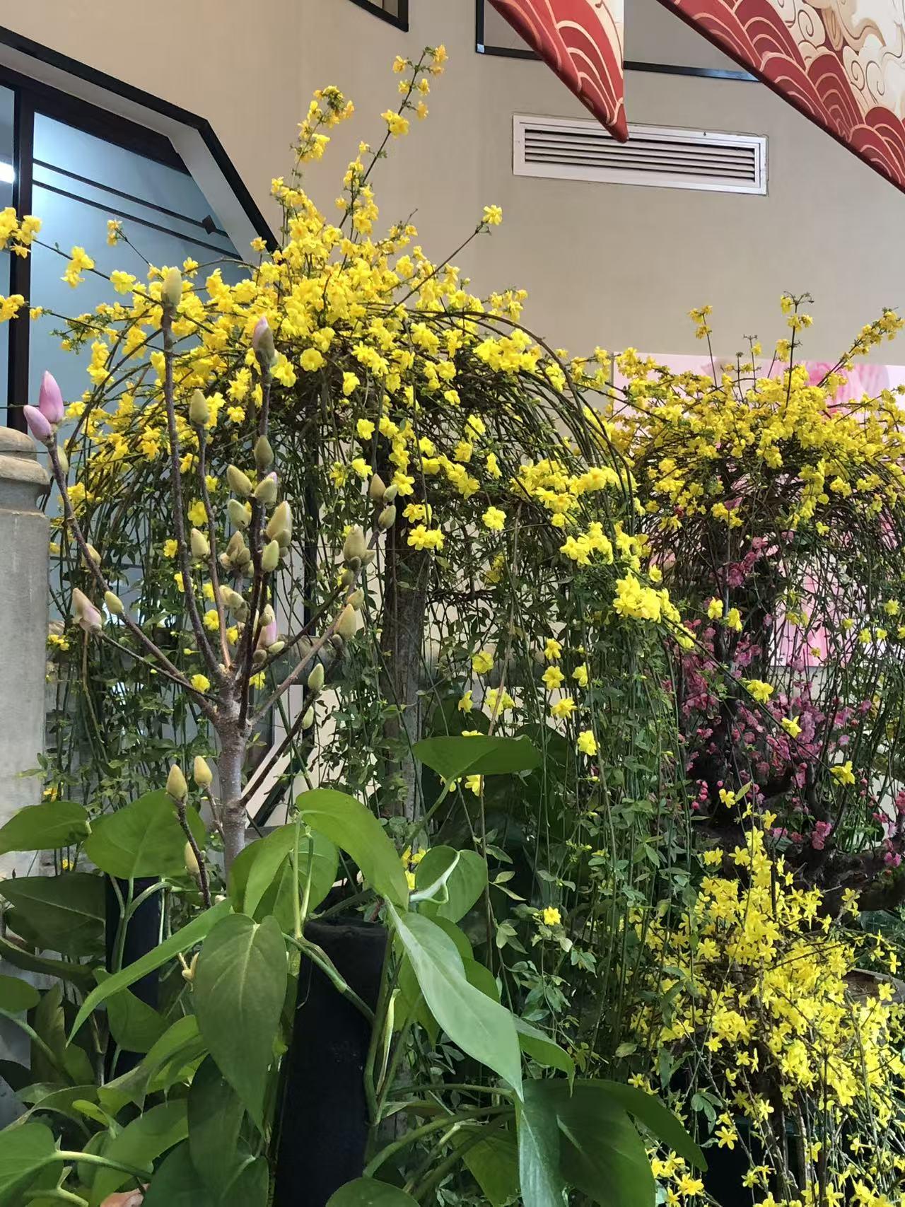 面对现实，我想说：“这破生活，还得硬着头皮过！”现实就是这么残酷，就像我那老友