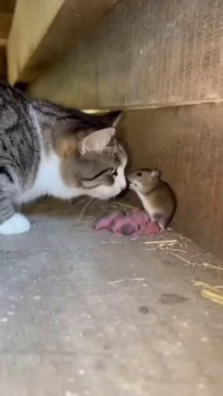 这波操作都看傻了。