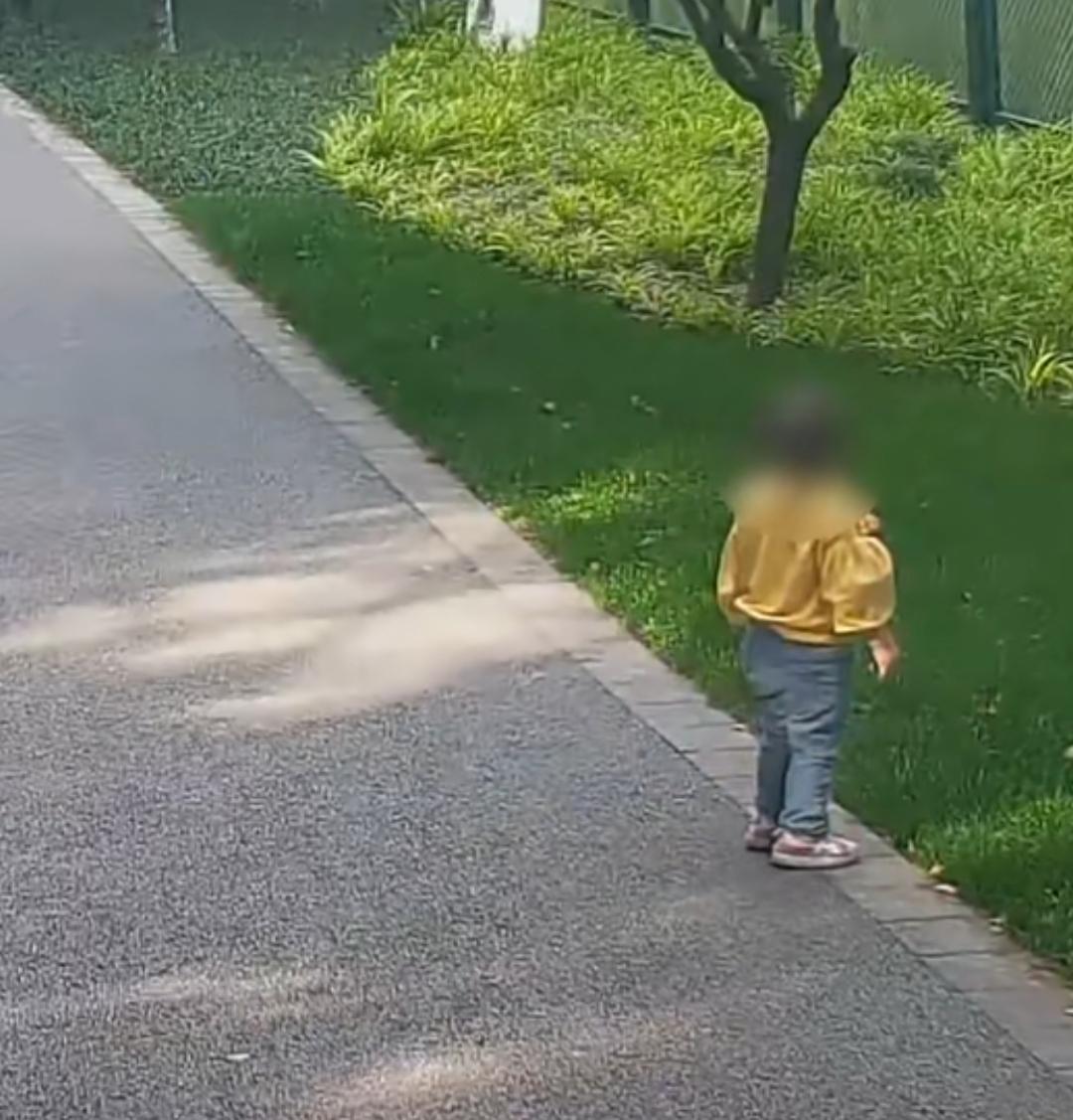 两岁女童意外走失，民警温柔守护助其归家。近日杭州上城一名两岁小女孩独自和家人走散