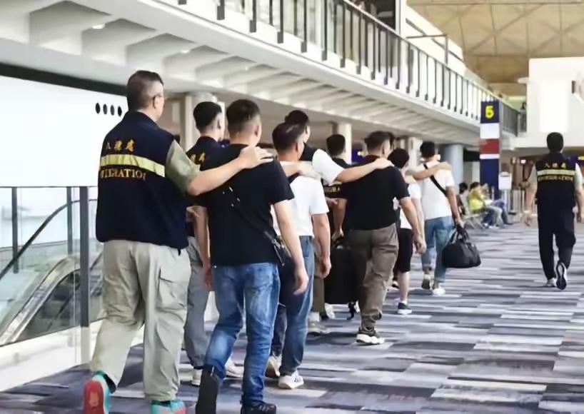 国家正式重拳出手！七月十号移民管理局放出上半年整治数据，看完心里特别舒服。
