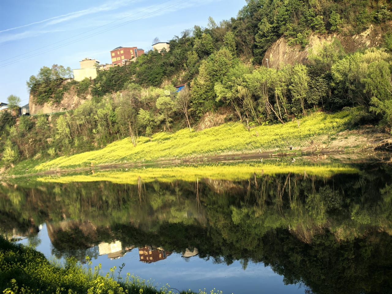 今日随手拍大自然的五彩斑斓，岸边、油菜花、清的水、倒影……绿煞人的眼！[呲牙笑][