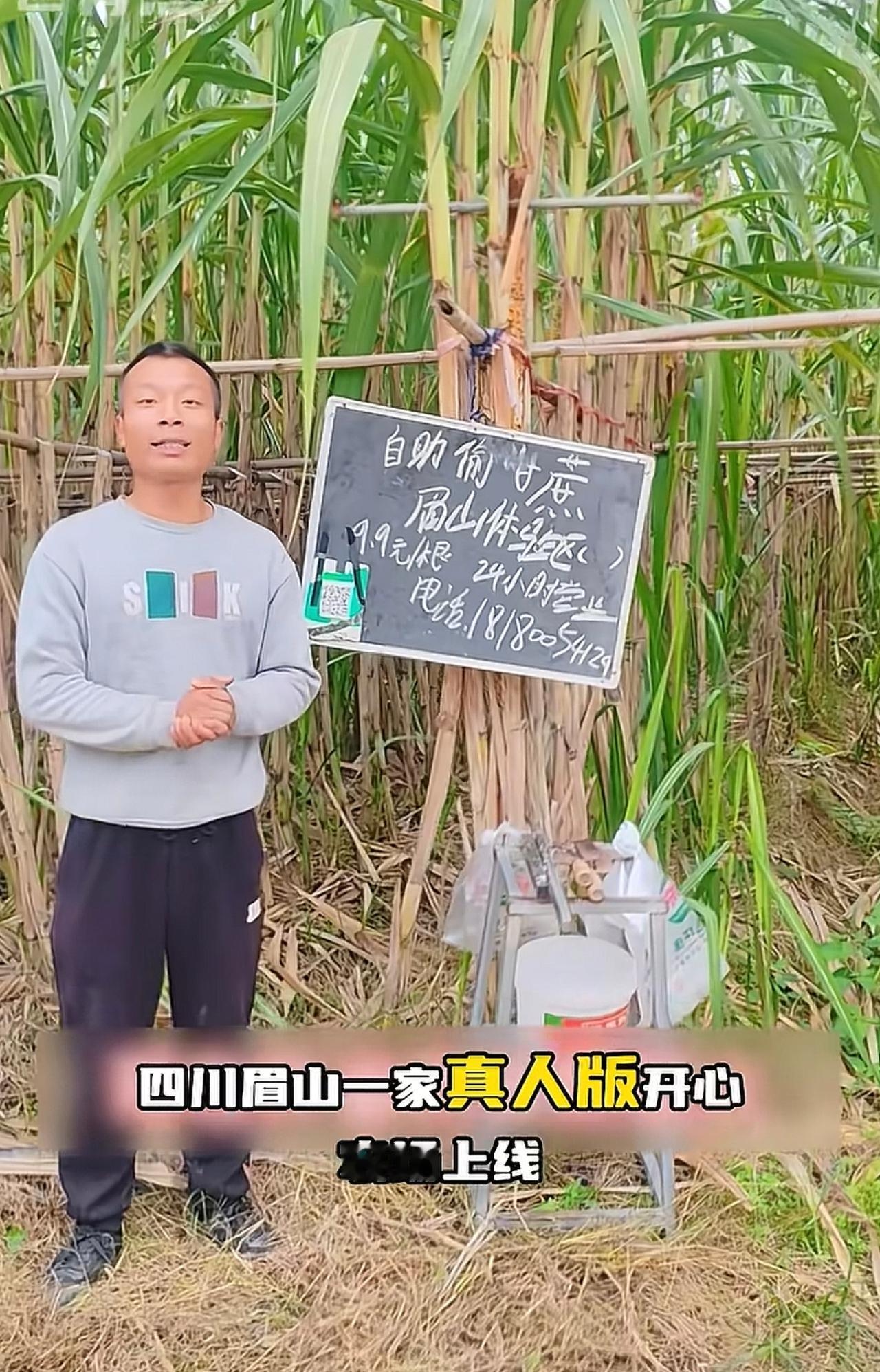 “偷甘蔗”现在爆火，很多人全国各地去四川，只为了体验一下小时候“偷甘蔗被抓”的乐