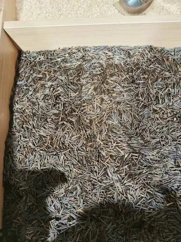 这种大米，竞然要158元一斤，有没有人吃过？