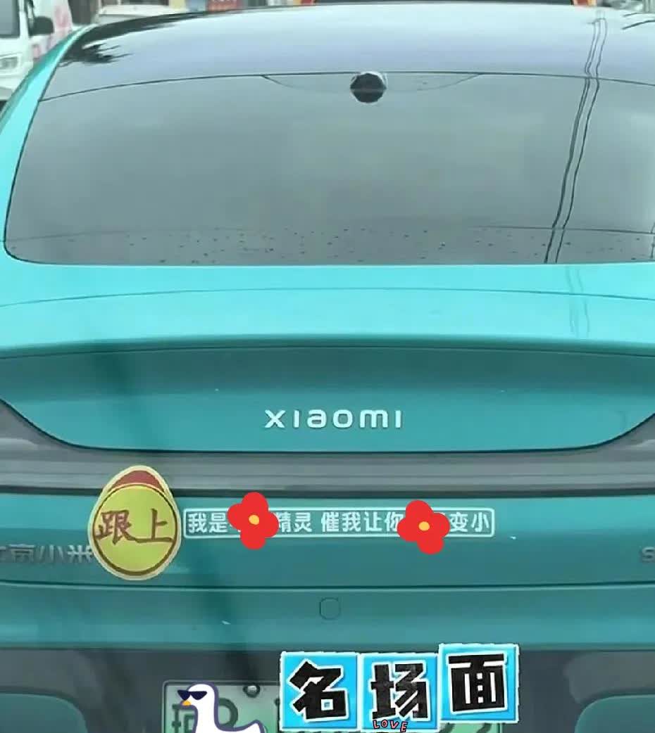 迄今为止，我看过最逗的车标语贴纸[捂脸哭]