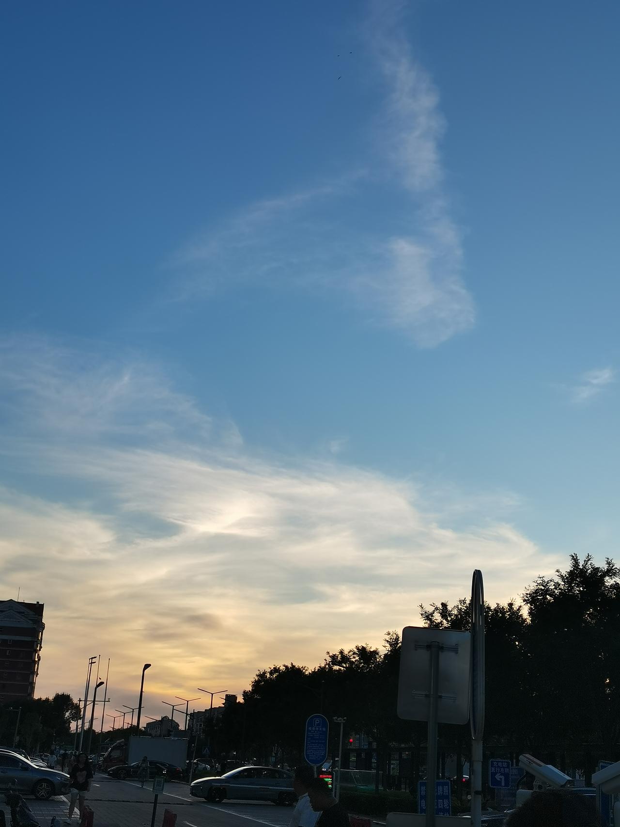 化生），480分，想上本科公办大学，不知道怎么填报志愿！自己也没什么想法，有