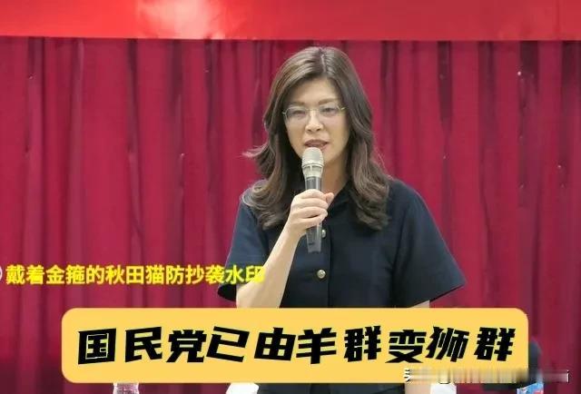 郑丽文自掏500万值了！党主席竞选诺言已成功实现，凯道20万人怒吼，标志着国民